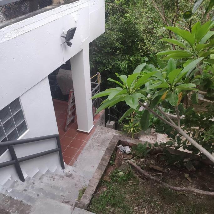 Kk Jungle Hideaway Lovely Apartment 5 Mins Walk To Town Kota Kinabalu Buitenkant foto